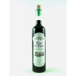 Fleur de Figue