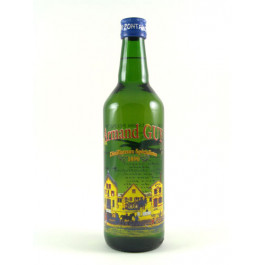Guy Pontarlier-Anis Armand Guy 45% 70cl