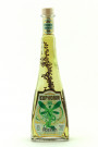 Euphoria 80